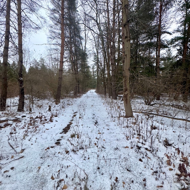 view of snow covered land