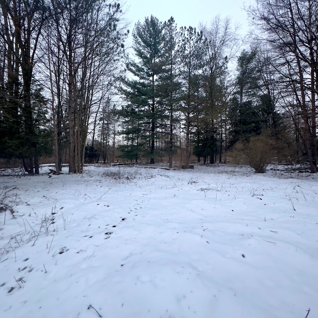 view of yard layered in snow