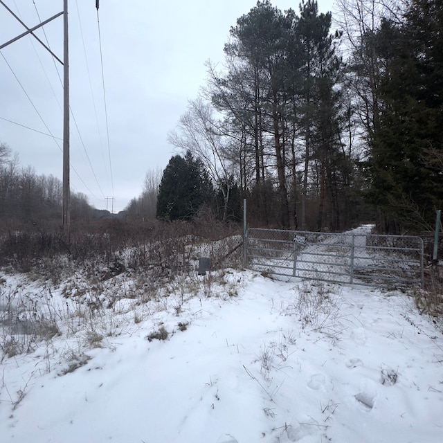 view of snowy yard