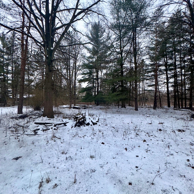 view of snowy yard