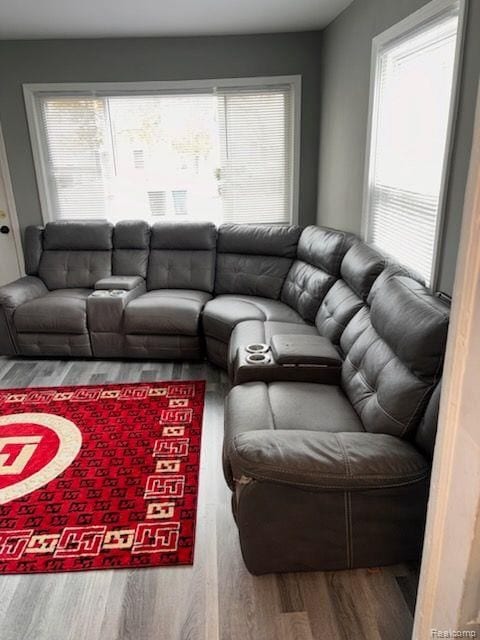 living room featuring wood-type flooring and a healthy amount of sunlight