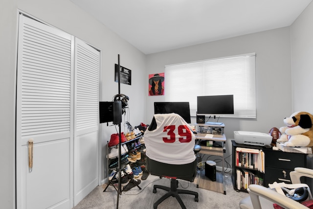 home office with light colored carpet