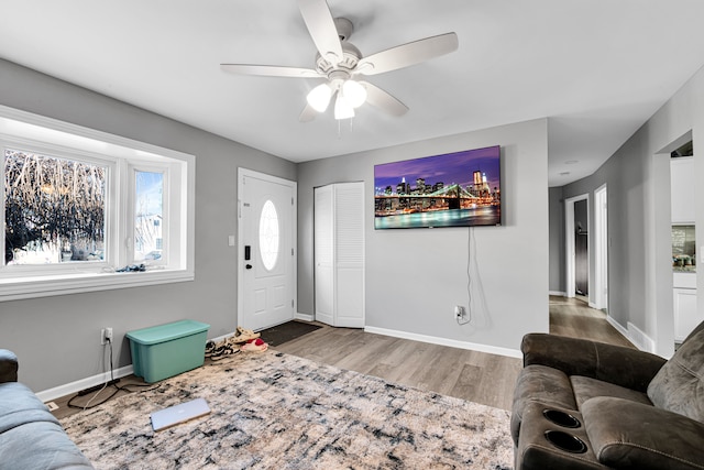 living room with ceiling fan and wood-type flooring