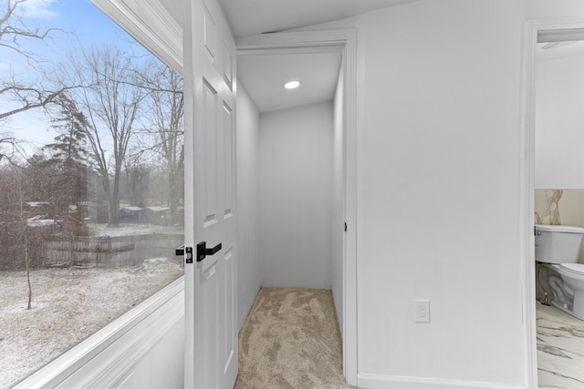 interior space with light colored carpet