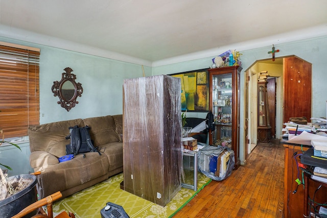 living room featuring hardwood / wood-style flooring