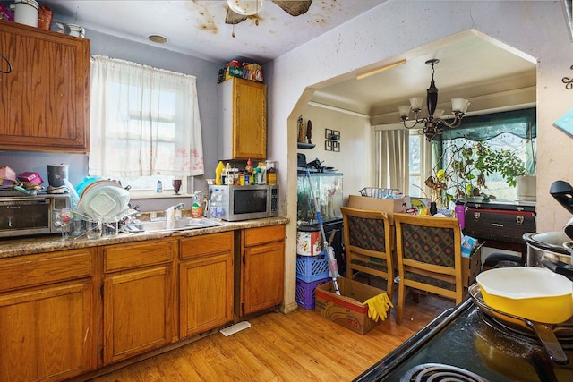 kitchen with plenty of natural light, sink, ceiling fan with notable chandelier, and light hardwood / wood-style flooring