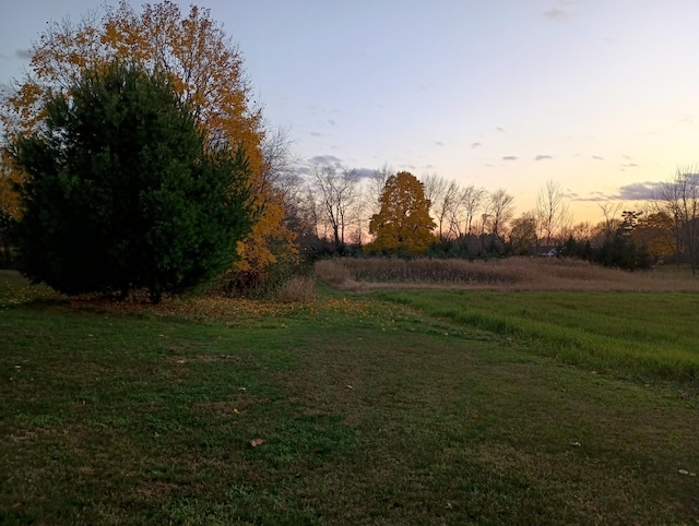 view of yard at dusk