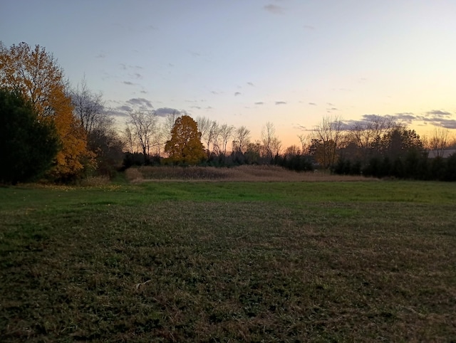 view of yard at dusk