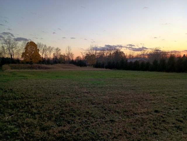 yard at dusk with a rural view