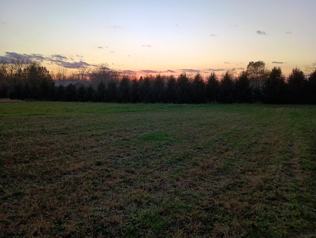 view of yard at dusk