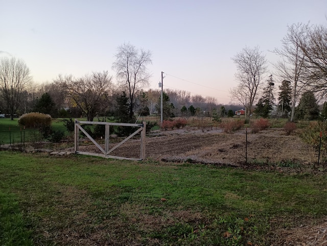 view of yard at dusk