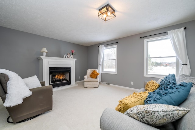 living room with carpet and a textured ceiling