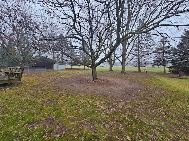 view of yard with a shed