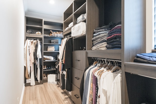 spacious closet with light wood-type flooring