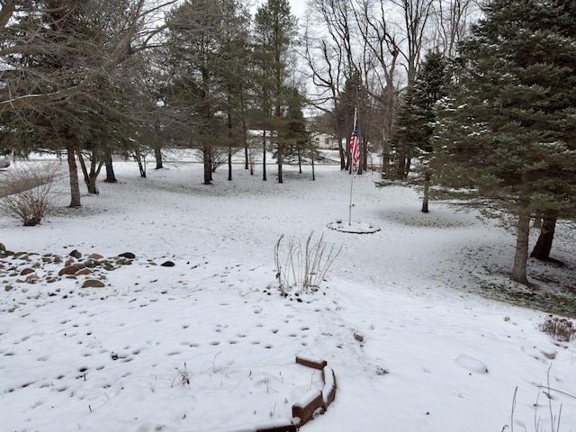 view of yard covered in snow