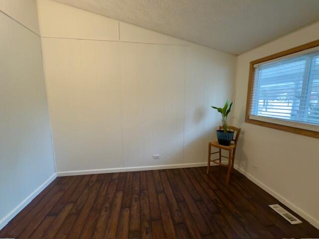 empty room featuring vaulted ceiling and dark wood-type flooring