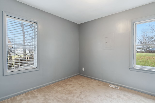 empty room featuring a wealth of natural light and light carpet