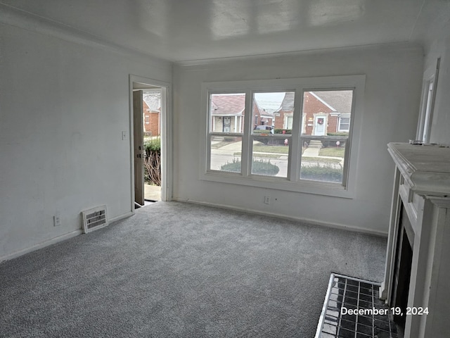 unfurnished living room with carpet flooring and a healthy amount of sunlight