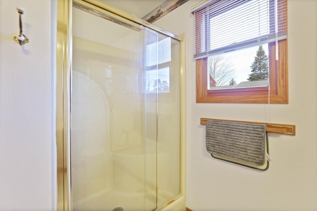 bathroom featuring a shower with door