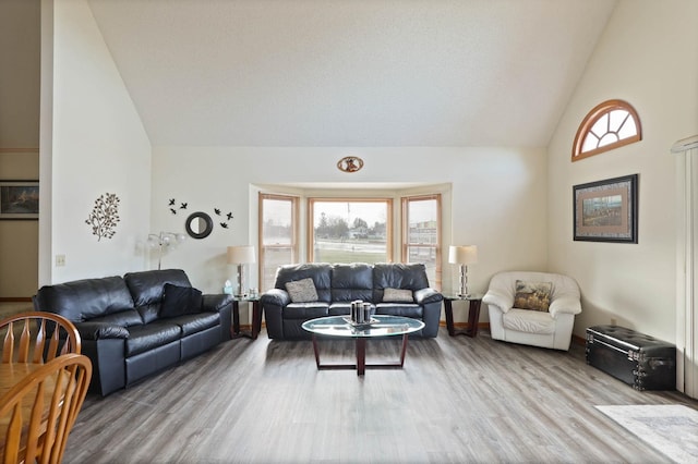 living room featuring high vaulted ceiling and hardwood / wood-style flooring