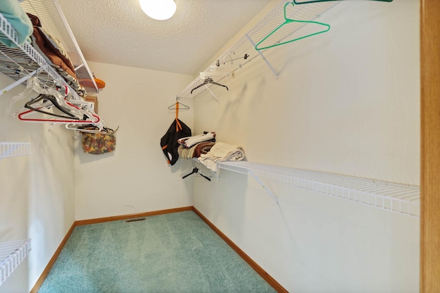 spacious closet with carpet flooring and radiator heating unit