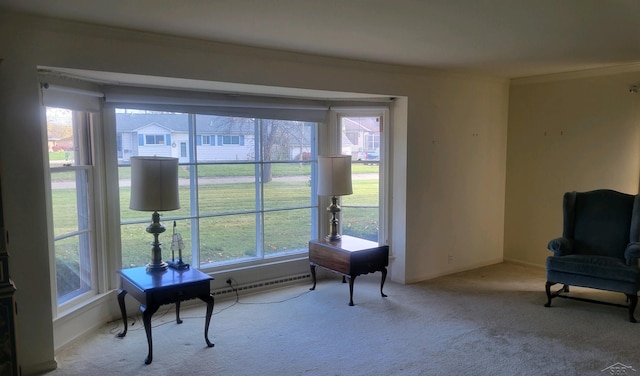 sitting room with light colored carpet, a baseboard radiator, and crown molding