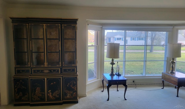 sitting room featuring light carpet, crown molding, and a baseboard radiator