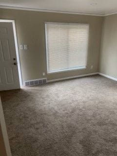 carpeted foyer featuring ornamental molding