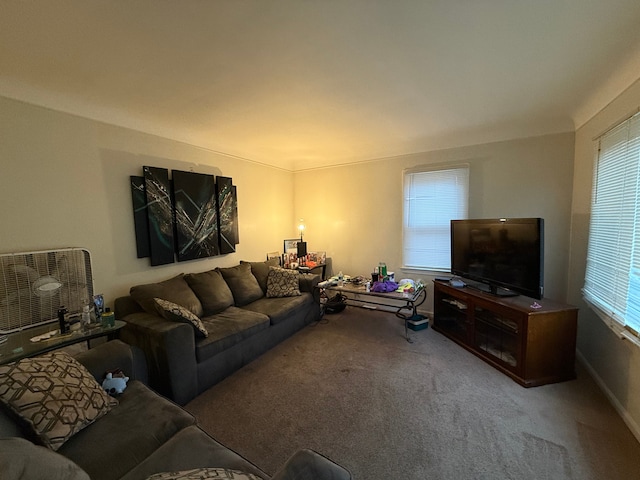 view of carpeted living room