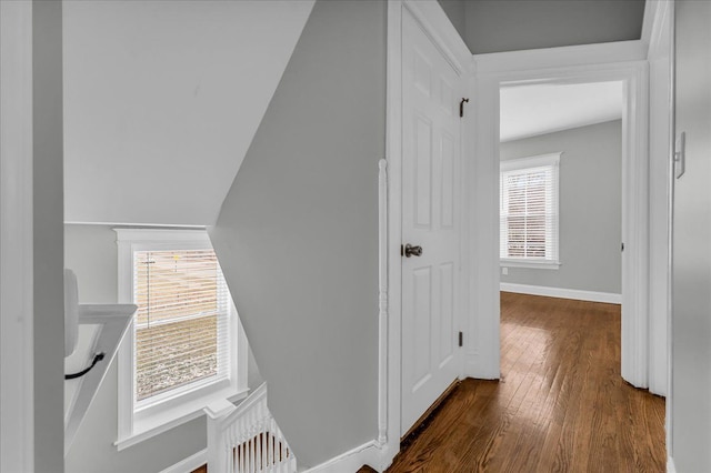 hallway with a wealth of natural light and dark wood-type flooring