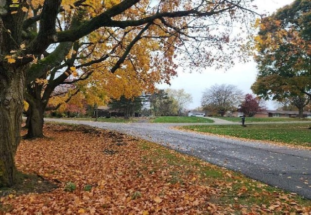 view of road