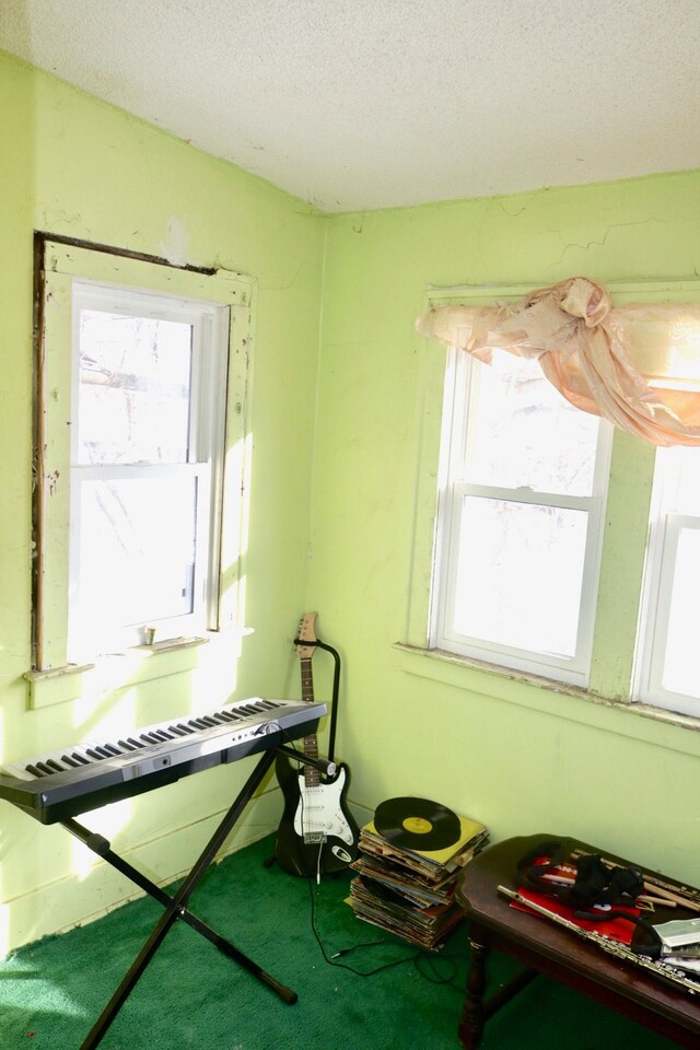 misc room featuring a textured ceiling and carpet flooring