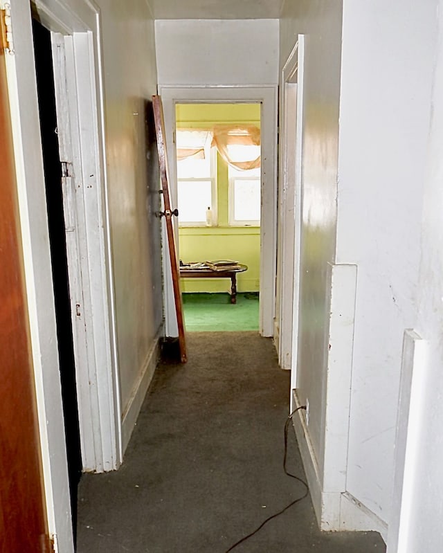 hallway with carpet floors