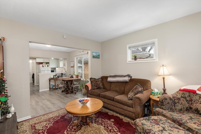 living room featuring light wood-type flooring