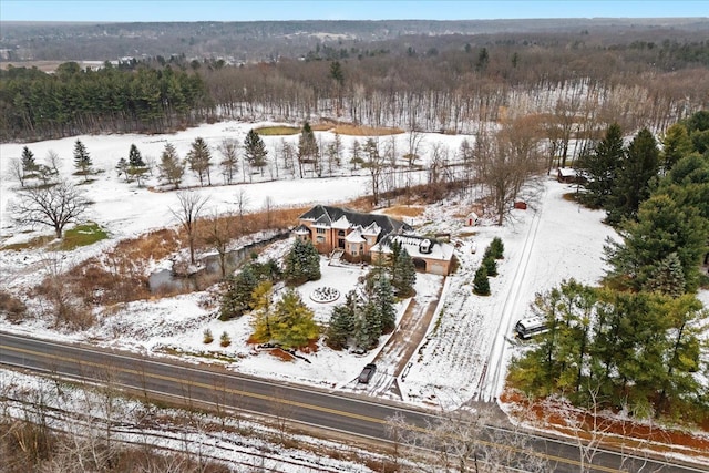 view of snowy aerial view