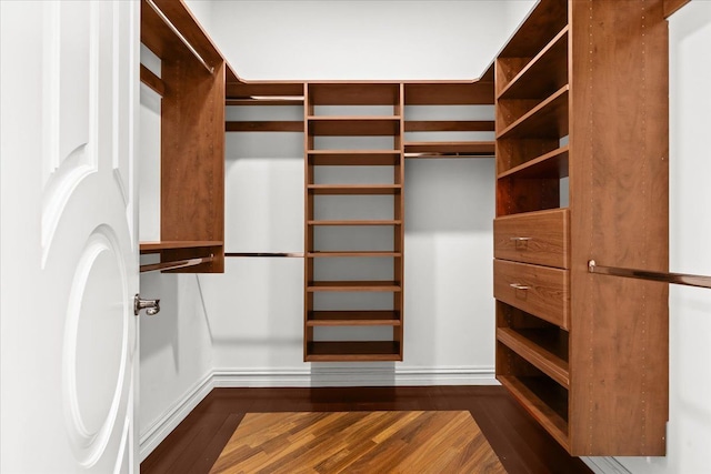 spacious closet featuring dark wood-type flooring