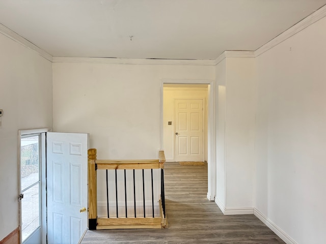 interior space featuring dark hardwood / wood-style flooring and crown molding