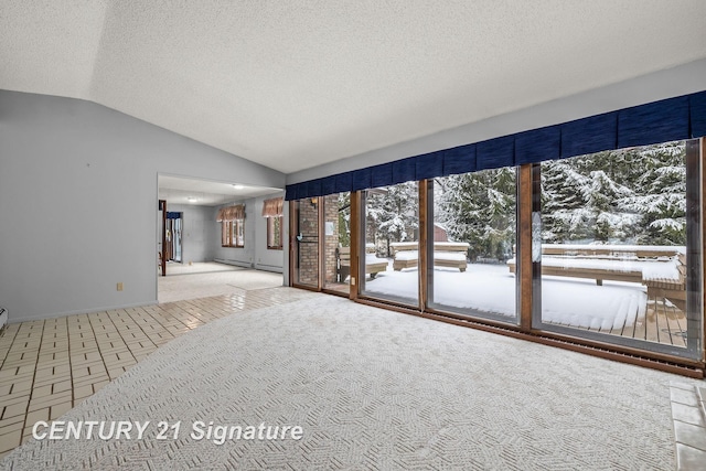 empty room with a textured ceiling, carpet, a healthy amount of sunlight, and lofted ceiling