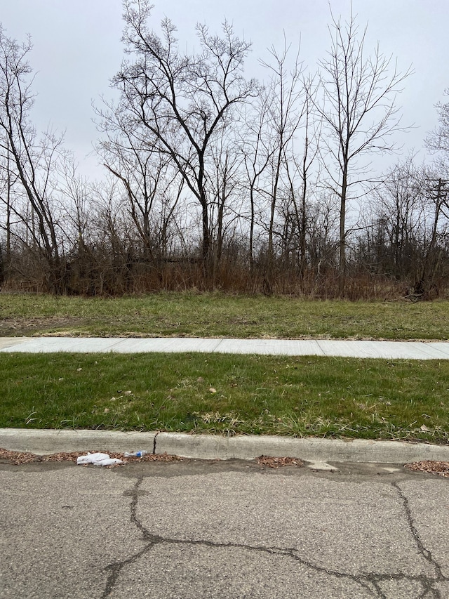 3410 W Warren Ave, Detroit MI, 48208 land for sale