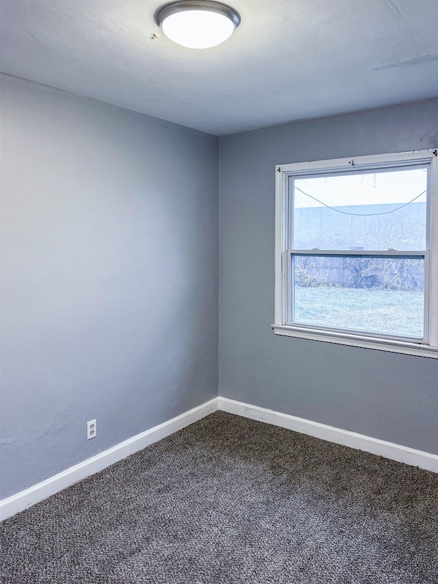 spare room with carpet floors