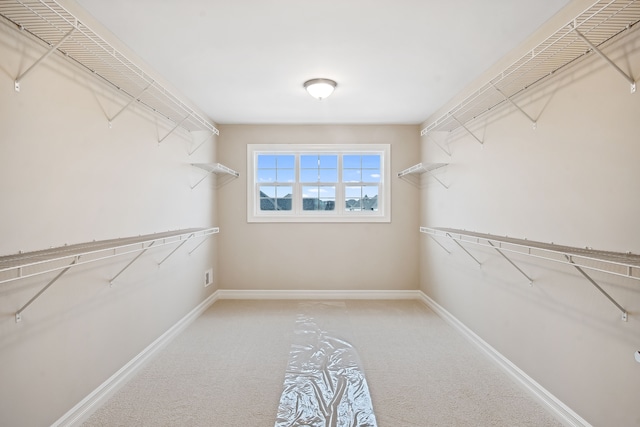54673 Ann Dr, Macomb, MI 48042 - spacious closet with carpet floors