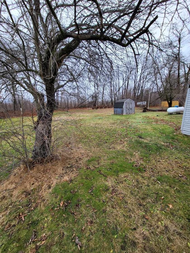 view of yard featuring a shed