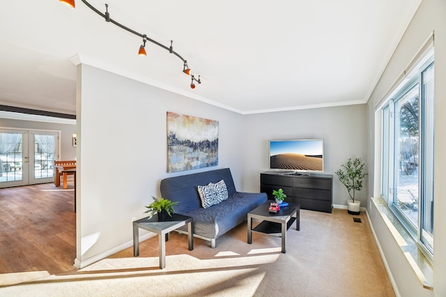 sitting room featuring rail lighting, baseboards, ornamental molding, and french doors