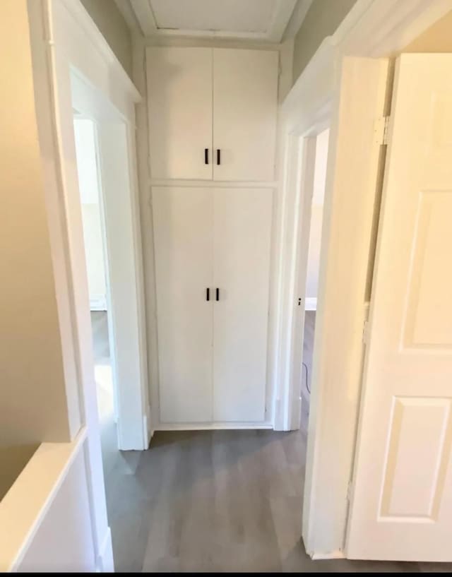 hallway featuring dark wood-type flooring