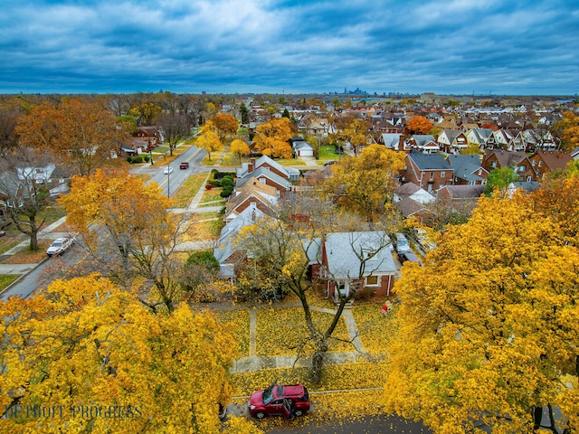 bird's eye view