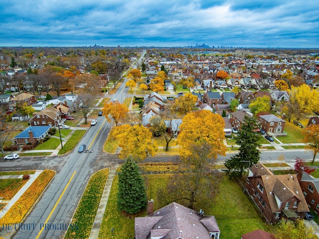 bird's eye view