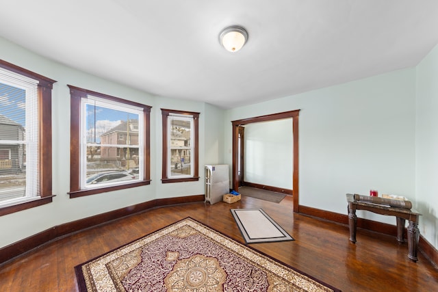 sitting room featuring radiator and dark hardwood / wood-style flooring