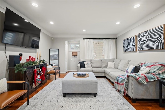 living room featuring wood-type flooring