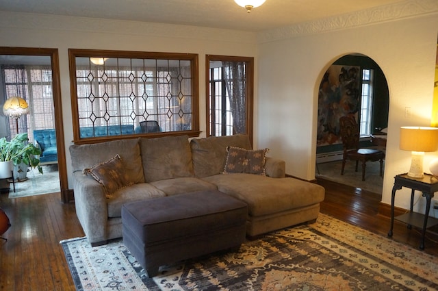 living room with hardwood / wood-style flooring, a baseboard radiator, and a healthy amount of sunlight