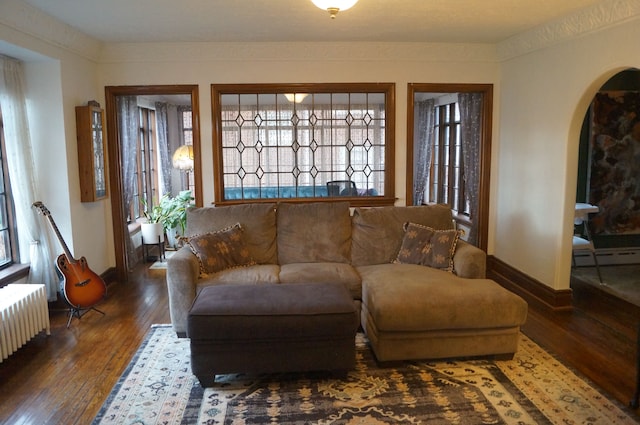 living room with baseboard heating, radiator, a healthy amount of sunlight, and dark hardwood / wood-style floors